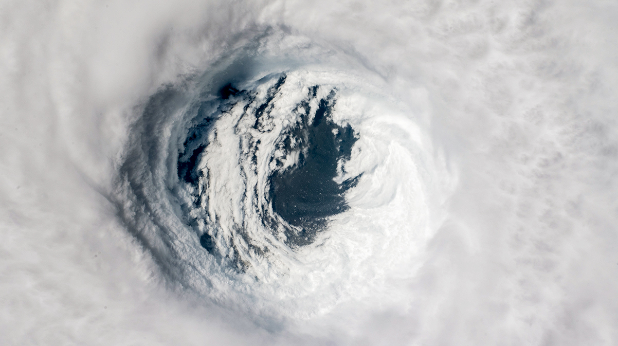 httpsnmcdn.ioe186d21f8c7946a19faed23c3da2f0dab1b96861a2534eba8191fd2315c6a596filesnewsdemocrats-slam-trumps-inaction-on-disaster-relief-for-the-panhandlehurricane-michael