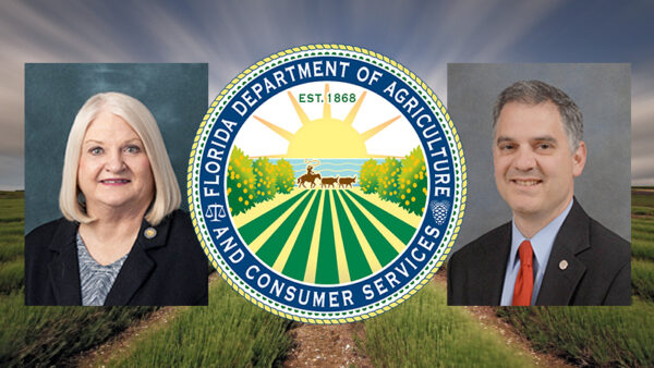 httpsnmcdn.ioe186d21f8c7946a19faed23c3da2f0dab1b96861a2534eba8191fd2315c6a596filesnewssenators-stewart-and-rader-call-investigationstewart-rader-dacs