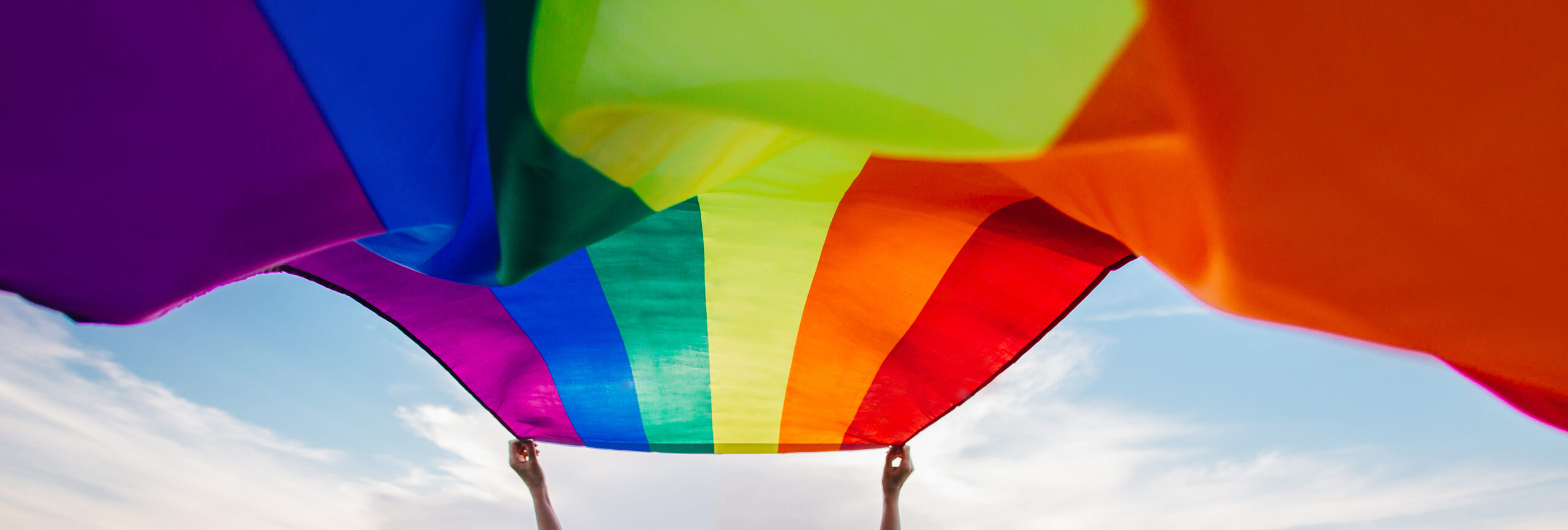 Gay Rainbow Flag on a green meadow outdoors