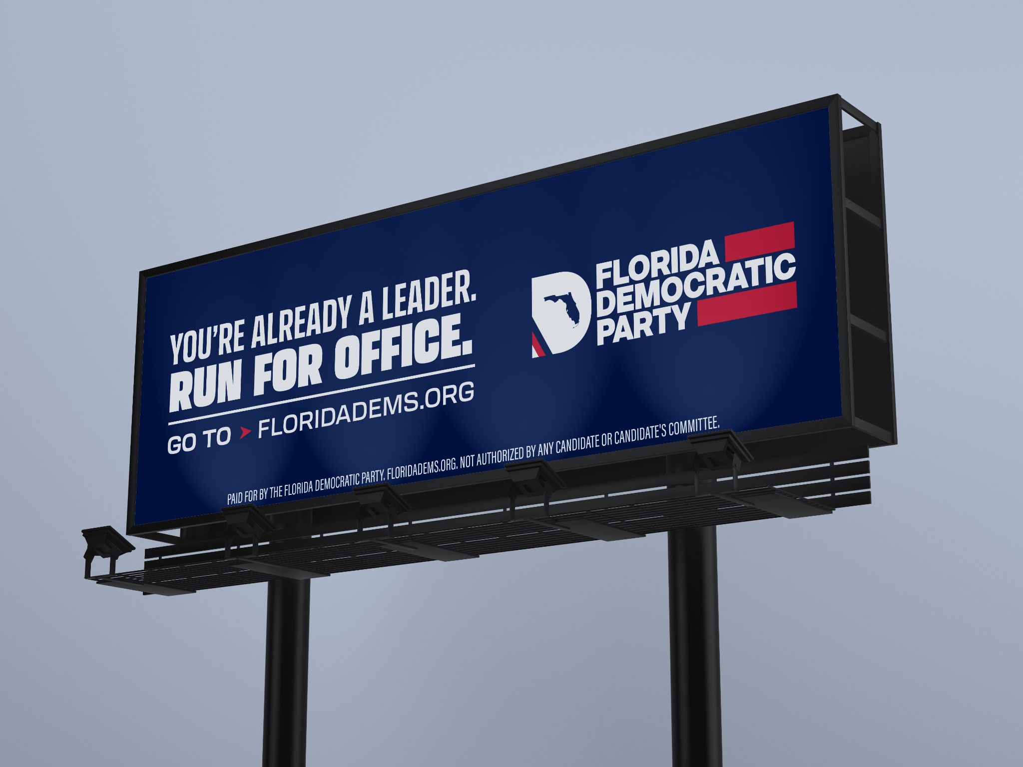 2024 FDP Run for Office - Billboard 01 (1) (1)