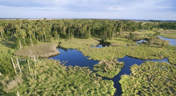 HERO 1_Everglades_FL_GettyImages-86504980_CROPPED_Web72DPI