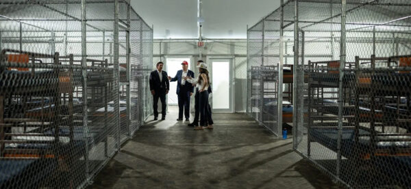 c89d01455b71155c04b6a682707d1a62